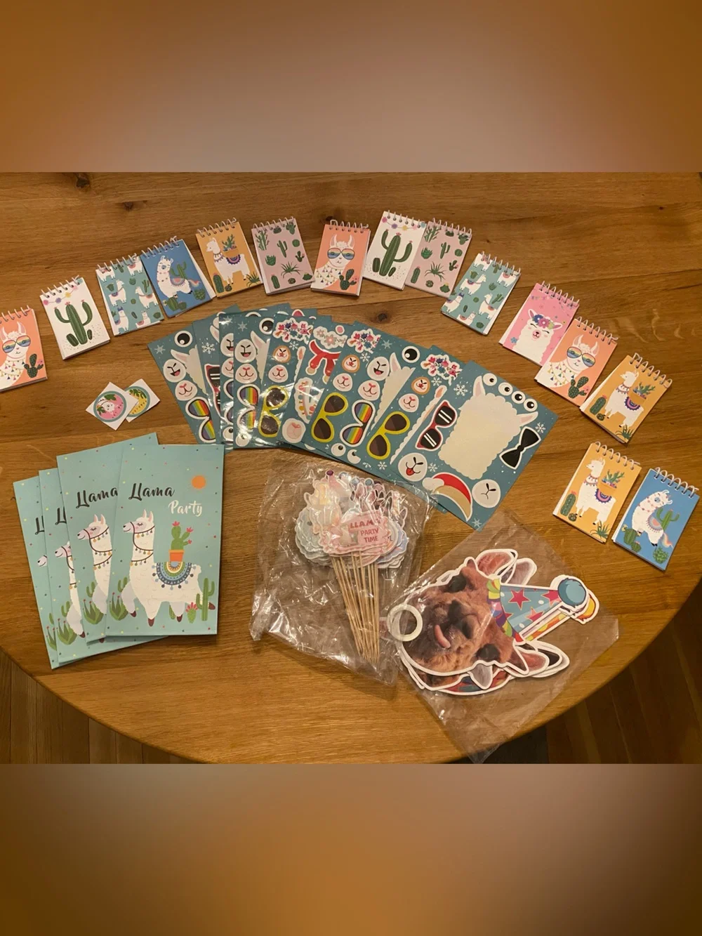 Llama Party Supplies Set